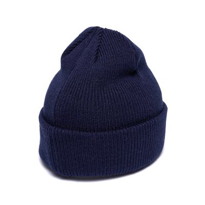 Шапка ХК «СИБИРЬ» A&amp;C (р.55-58) 20077