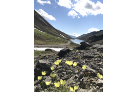 Лето | Маршрут 2 дня  «Полярный день»