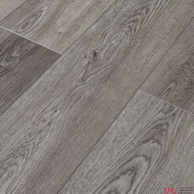 SPC ламинат Alpine Floor Grand Sequoia Light Клауд ECO 11-1501