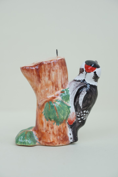 Дятел -  Птицы России