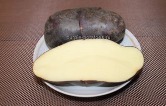 Картофель с жёлтой и белой мякотью - Картофель Чёрный Принц