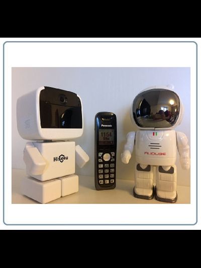 Видеоняня /WiFi-LAN охранная видеокамера моторизированная с DVR (robot), HD (163eye/Yoosee)