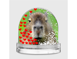 Водяной шар Капибара, Kapibara-san №14