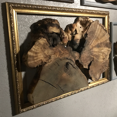 декор стены из спилов галерея