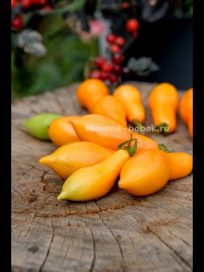 Томат Валентино ( Valentino ), 10 шт