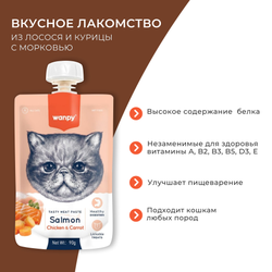Wanpy Cat (Ванпи кэт) Лакомство для кошек Мясной мусс из лосося и курицы с морковью, 90 г