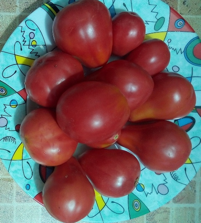 Томат Трюфель густо-малиновый