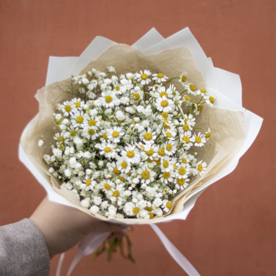 Букет из гипсофилы и ромашек