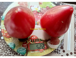 Томат Сердце Тибета