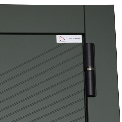 Стальная дверь   Vertu с зеркалом (биометрический замок)