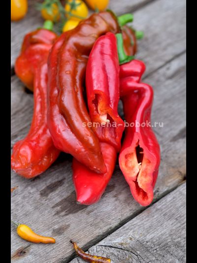 Перец сладкий Палермо Красный, 10 шт