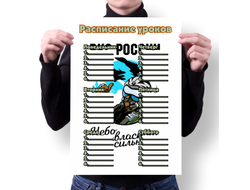 Расписание уроков на 23 февраля №9