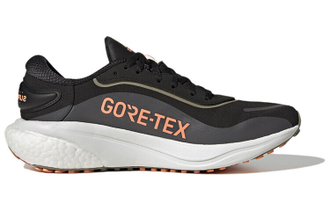 Кроссовки Adidas Supernova GTX M GW9109