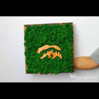 ЖИВАЯ ЭКО-КАРТИНА 1028