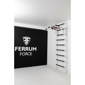 Шведская стенка Ferrum Force FR1 купить в Воронеже