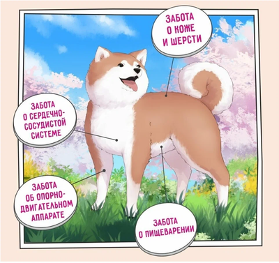 ZILLII Adult Large Breed Корм сухой для взрослых собак крупных пород Индейка с Ягненком 15 кг