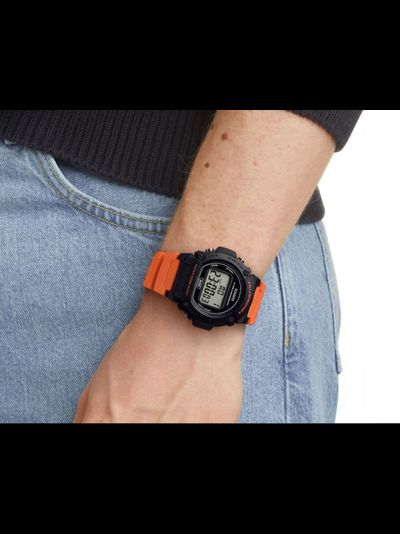 Часы Casio W-219H-4A