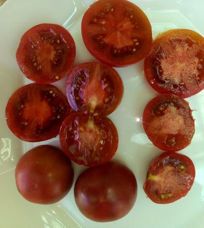 Томат гном Вельвет найт (Бархатная ночь, dwarf Velvet Night)