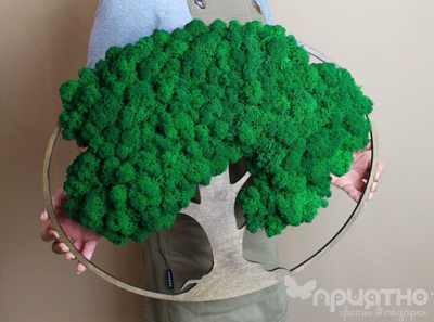 ЖИВАЯ ЭКО-КАРТИНА 1018