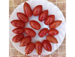 Томат Маглия роза (Maglia rosa)