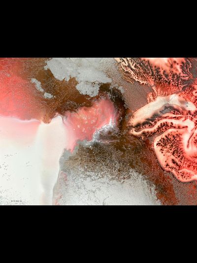 Купить обогреватель-картину Пустынная роза-5