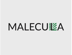 Нанопластика волос Malecula