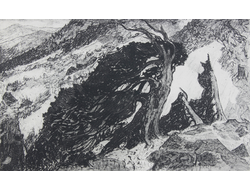 Вейберт Л.П. Кедры. офорт 37Х61 1966г (193)