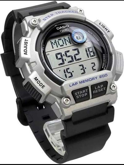 Часы Casio WS-2100H-1A2