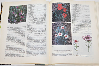 Кудрявец Д.Б., Петренко Н.А. Как вырастить цветы.М.: Просвещение. 1993г.