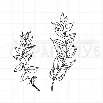 ФП штамп "Веточки с листьями" 1