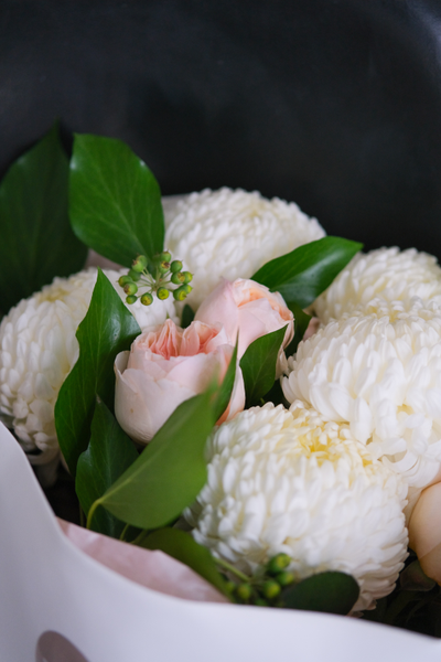 Дочки-матери