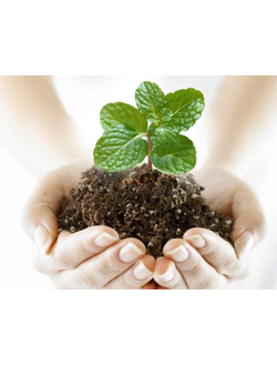 ВСЕ Средства защиты для сада