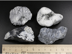 Кахолонг (Опал), желвак цельный в ассортименте, Оренбургская обл. (40-50 мм, 27-32 г) №29432