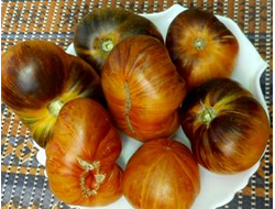 Томат Мечта Алисы (Alise's Dream), Польша