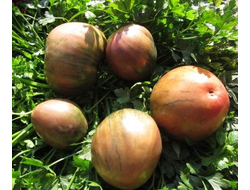 Томат Черное сердце Бреда (Brad’s Black Heart)