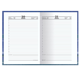 Ежедневник датированный на 4 года А5 (133х205 мм), 192 л., BRAUBERG, "КАПРИЗ", 129238