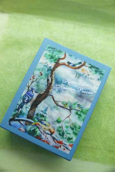 Комплект елочных игрушек "Птицы России"