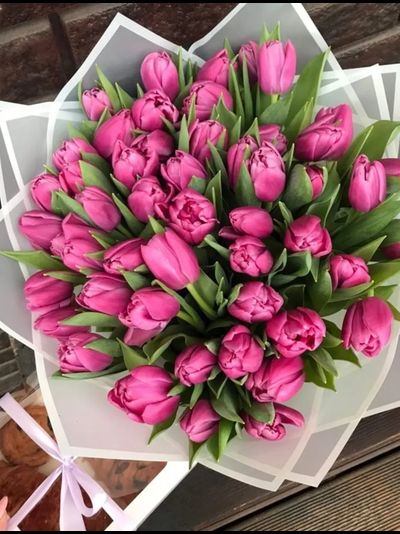 51 пионовидный тюльпан