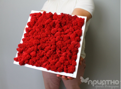 Живая Эко-Картина 1082