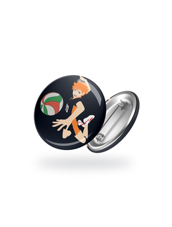 Shoyo Hinata & molten