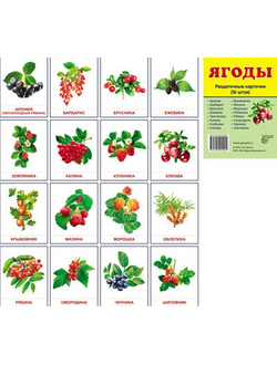 Демонстрационные карточки "Ягоды"(63х87 мм)