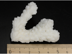 Коралл белый, коллекционный образец, Китай (52*40*33 мм, 23 г) №37698