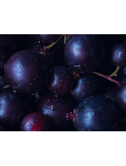 Blackcurrant flower base PCW / Черная смородина цветы база