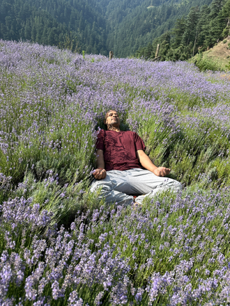 Лаванда горная (Lavandula angustifolia), Кашмир (5 мл) - 100% натуральное эфирное масло