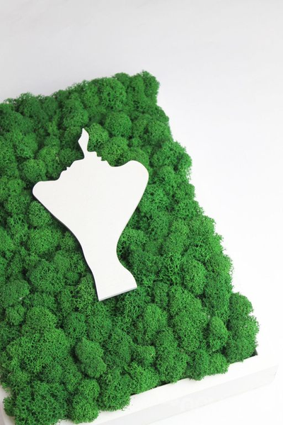 ЖИВАЯ ЭКО-КАРТИНА 1030