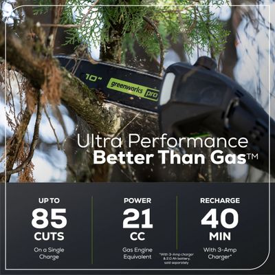 Высоторез Greenworks GD60PST25