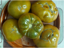 Томат Малахитовая шкатулка