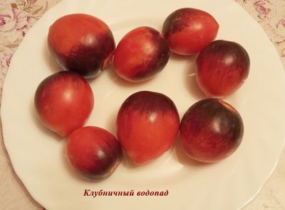 Томат Клубничный водопад