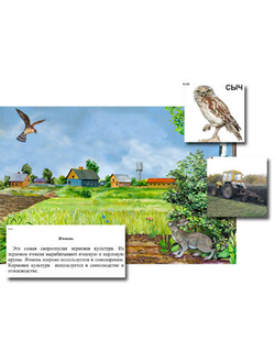 Магнитный плакат-аппликация "Поле: биоразнообразие и взаимосвязи в сообществе"