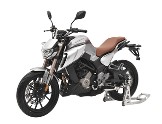 Мотоцикл Regulmoto ALIEN MONSTER 300 2020г. NEW фото